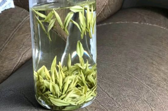 安吉白茶夏天怎么保存，安吉白茶能冷凍儲存嗎？