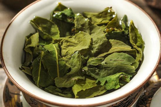 陳茶還是新茶好，茶葉是新茶好喝還是陳茶好喝