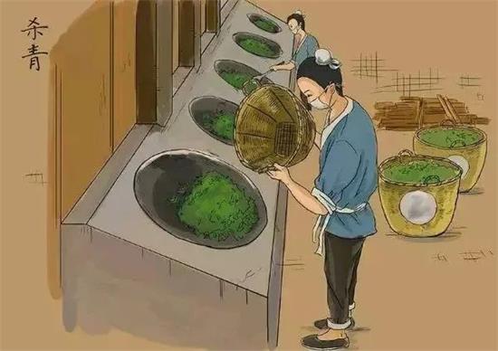 制茶八步驟，制茶工藝流程圖