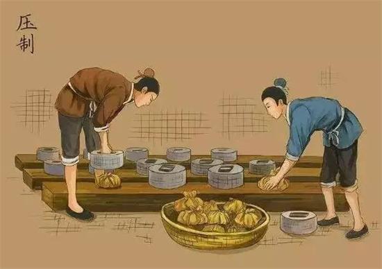 制茶八步驟，制茶工藝流程圖
