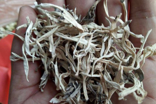 麗江雪茶的禁忌，白雪茶的副作用