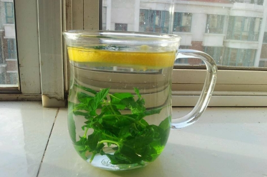 薄荷茶的功效與作用，喝薄荷茶有什么好處？