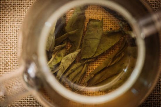 苦丁茶副作用，苦丁可以經(jīng)常喝嗎？