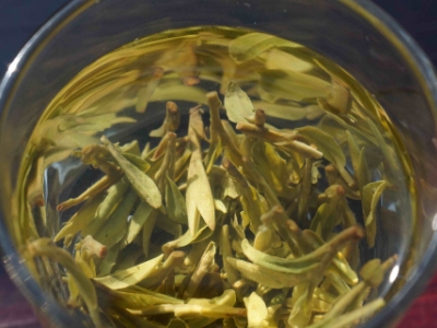 安吉白茶的功效與作用，簡單概括安吉白茶功效