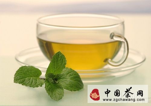 喝茶過程7個不 你知多少？