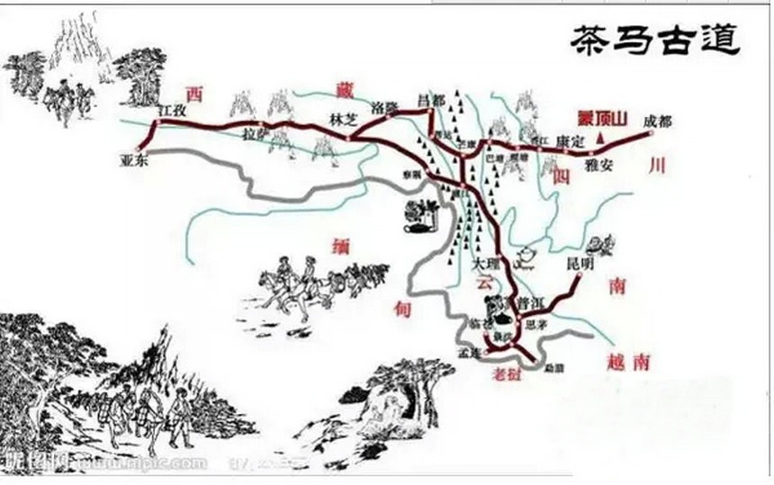 古今普洱茶市場的地位