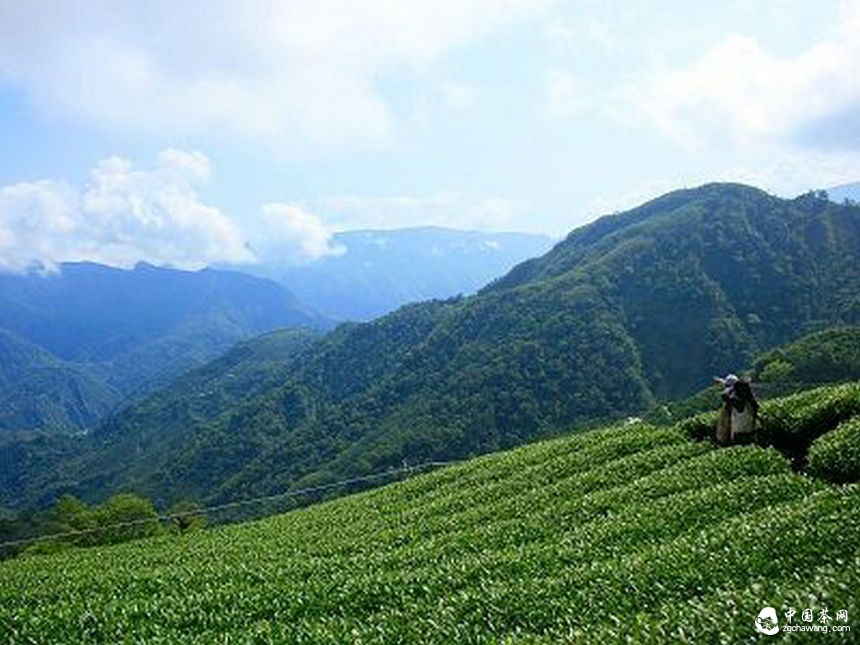 云南省紅茶產(chǎn)業(yè)技術(shù)創(chuàng)新戰(zhàn)略聯(lián)盟在鳳慶縣成立
