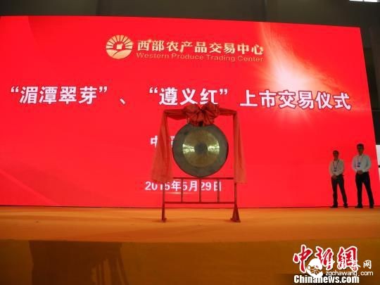 推茶旅一體化 中國(貴州·遵義)國際茶文化節舉行