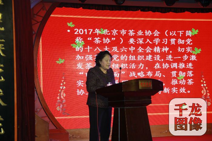 常務副會長兼秘書長付光麗做工作設想1
