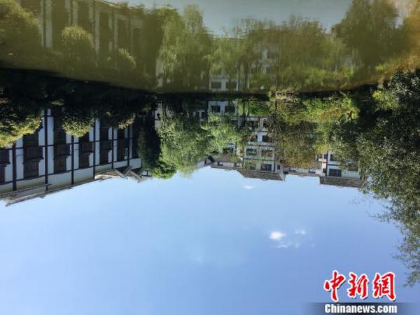 小茶葉大帶動(dòng)貴州貧困村農(nóng)村因茶蝶變