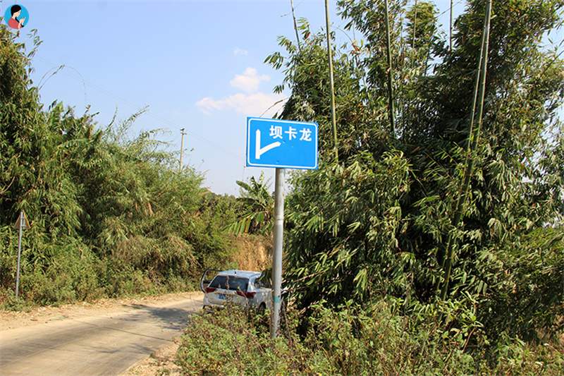 這座寨子至今已有1300多年的歷史，是最古老茶農(nóng)濮人的后裔