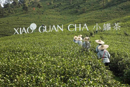 攜手陳喬恩、陳漫 小罐茶玩轉現代派春茶-焦點中國網