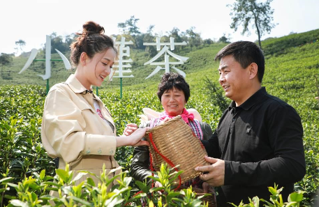 攜手陳喬恩、陳漫 小罐茶玩轉現代派春茶-焦點中國網