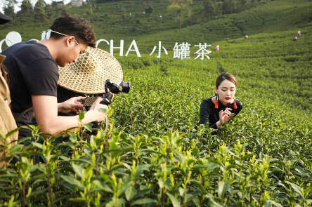 攜手陳喬恩、陳漫 小罐茶玩轉現代派春茶-焦點中國網