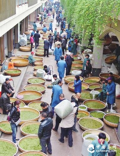 第九屆新昌大佛龍井茶文化節舉行