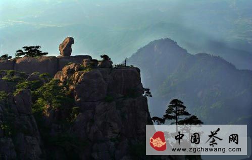 太平猴魁茶的由來傳說