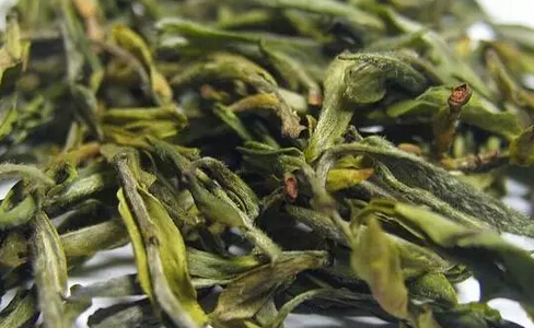 愛茶更要懂茶！為您支招——如何鑒別黃山毛峰茶的優劣
